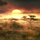 Illustration for article titled The Desolate Video Game Art of Nicolas Ferrand